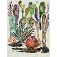 thumbnail image 2 of Ritter, Gina 25x32 White Modern Wood Framed Museum Art Print Titled - Desert Garden II, 2 of 4