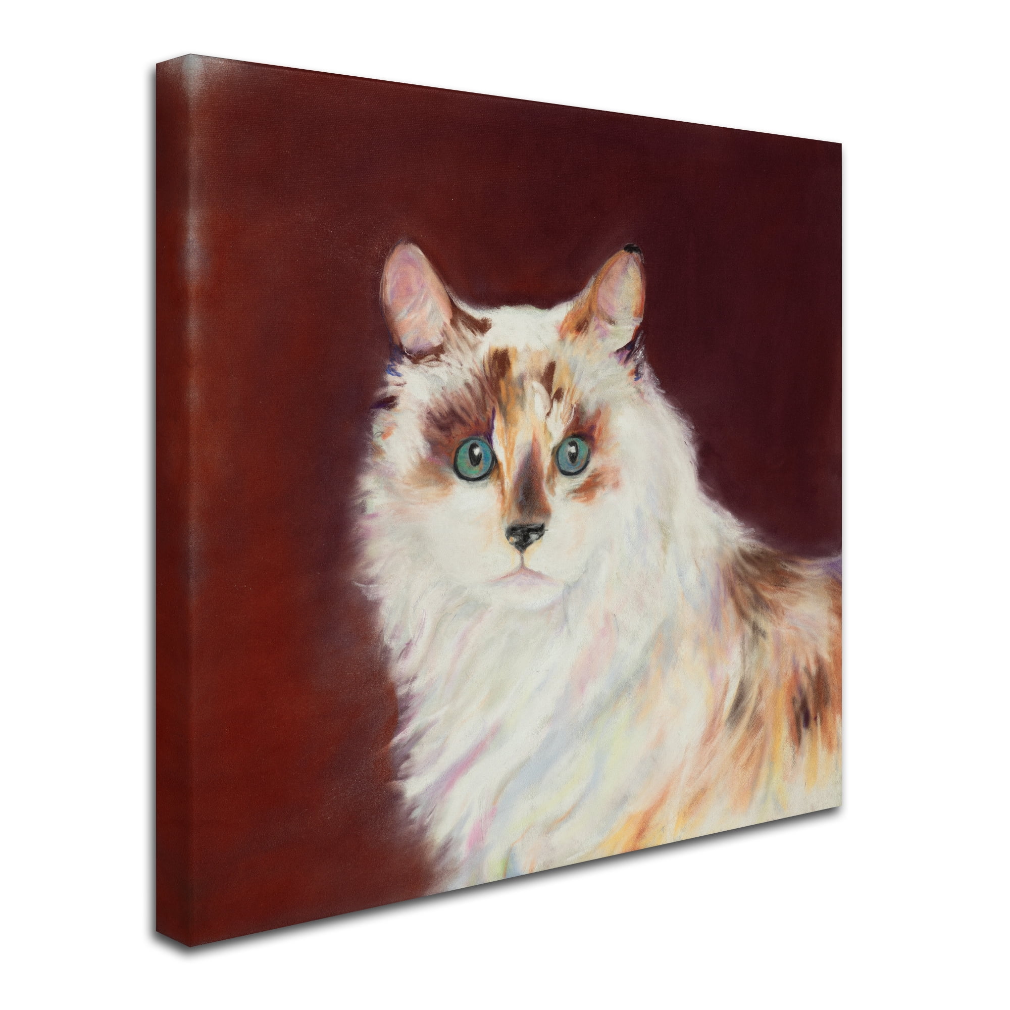 Capturing Eyes' Canvas Art by Pat Saunders-White