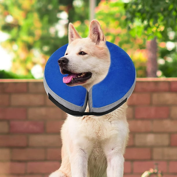 Dog cone top walmart canada