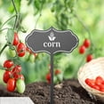 thumbnail image 4 of Plant Marker Garden Signs Fashion Tag Bonsai Decor Acrylic Farm Greenhouse Herbal Vegetable Plant Label Garden Decor for Vegetables, 4 of 8