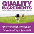 thumbnail image 5 of NutriSource Large Breed Puppy Chicken & Rice Recipe Dog Food 12 lb, 5 of 7