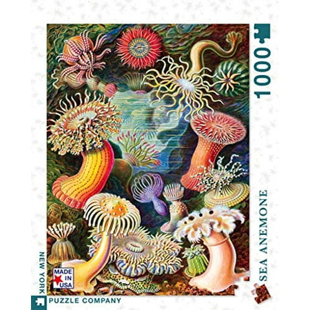 New York Puzzle Company Vintage Images Sea Anemones 1000 Piece Jigsaw Puzzle Walmart Canada
