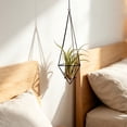 thumbnail image 5 of Geometric Air Plant Holder with Hanging Chain, Metal Hanging Tillandsia Holder, 3 Different Size Macrame Plant Holder, for Small Air Plants Indoor Garden Wall Decor, 5 of 6