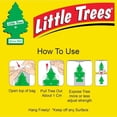 thumbnail image 3 of LITTLE TREES Car Air Freshener Hanging Tree Peach Ginger Spritz Long Lasting Scent, 3 of 5