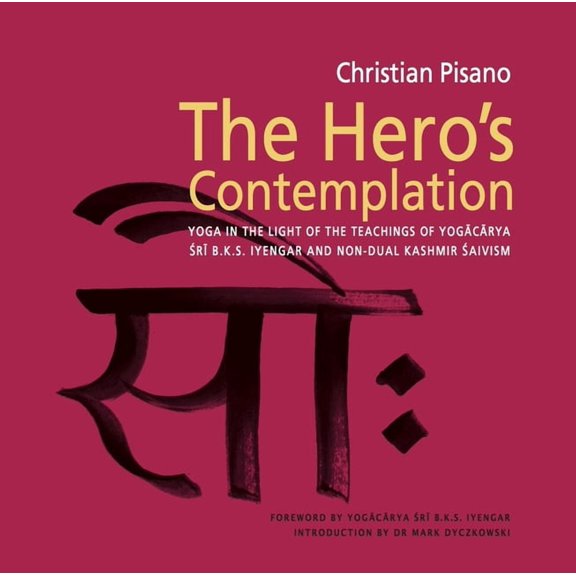 The Hero's Contemplation, (Paperback)