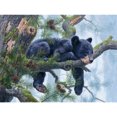thumbnail image 1 of Wdftyju Diamante pintura 5D oso negro DIY taladro redondo completo mosaico imagen manualidades arte Wdftyju 6et9gy9bz9fw1pz2, 1 of 9