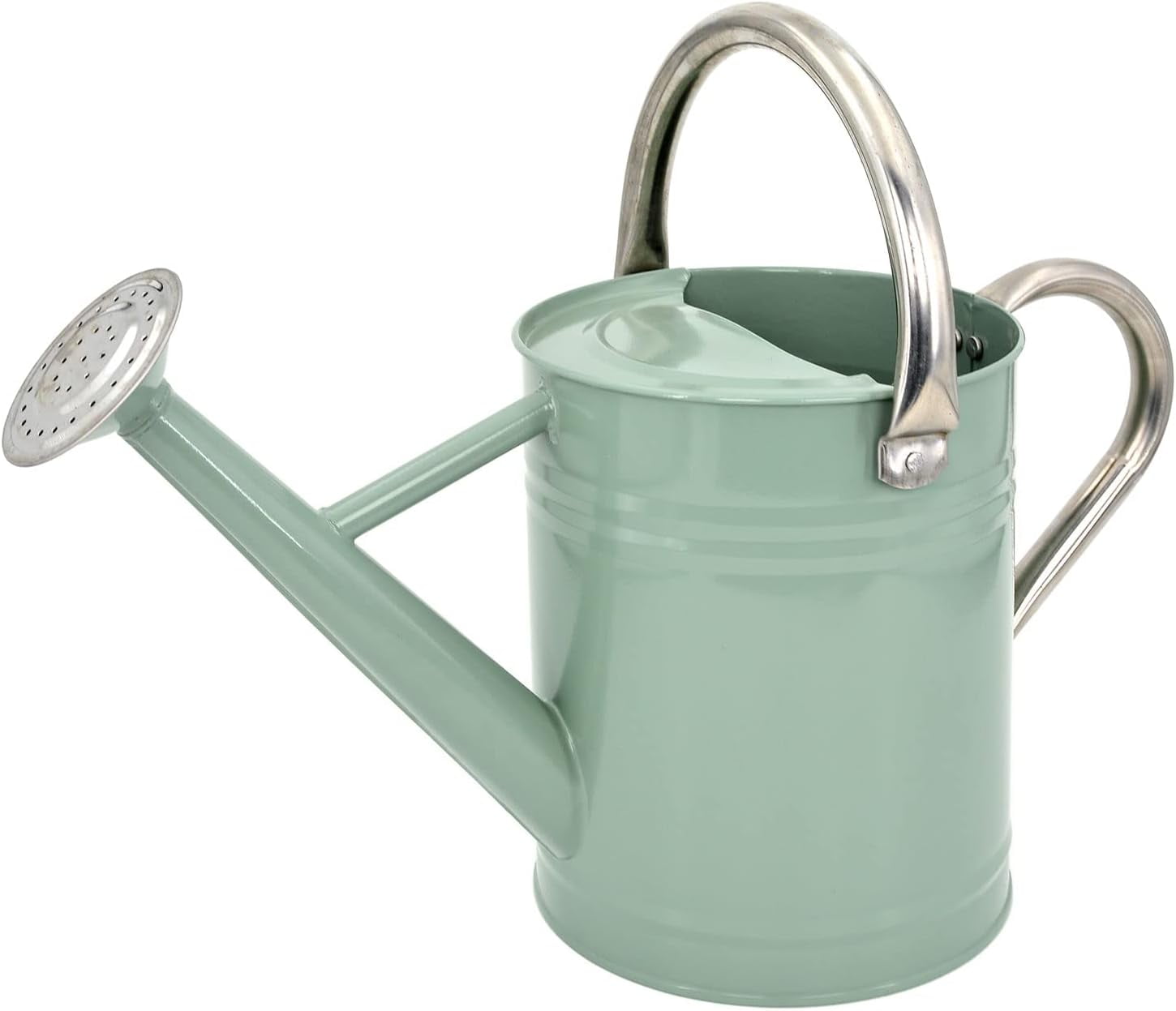 Metal Watering Can for Outdoor Plants, 1 Gallon Galvanized Steel Watering Can with Removable spout for Outdoor & Indoor Use, Perfect for Garden Flower, Houseplants, Forest Green