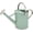Cream Green, variant on Metal Watering Can for Outdoor Plants, 1 Gallon Galvanized Steel Watering Can with Removable spout for Outdoor & Indoor Use, Perfect for Garden Flower, Houseplants, Forest Green