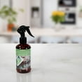 thumbnail image 3 of ScentSationals Room Spray - Eucalyptus & Sea Salt, 3 of 4