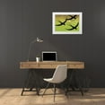 thumbnail image 3 of Vintage Apple Collection 32x23 White Modern Wood Framed Museum Art Print Titled - Birds Green, 3 of 4
