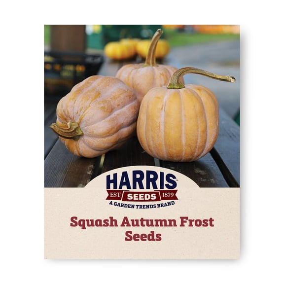 Harris Seeds Squash Autumn Frost F1, Ribbed Winter Squash Variety, Treated, 25 Count