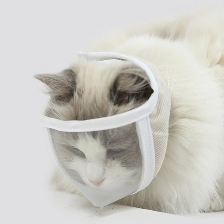 Kitten muzzle hotsell