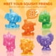 thumbnail image 2 of Kit de bricolaje para hacer animales blandos, kits Klever con 4 sorpresas, 2 of 7