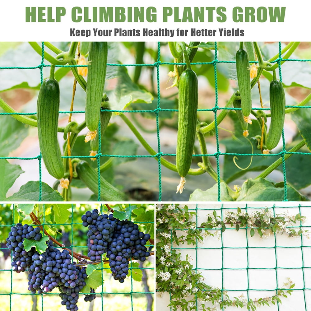 Climbing Garden Trellis - Heavy Duty Garden Netting for Climbing Plants - Trellis Netting for Cucumbers, Vines, Fruits, Durable Nylon Plant Support Trellis - Easy to Install/5.9x11.8 FT （5PCS）