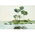 thumbnail image 2 of Homer, Winslow 14x11 Gold Ornate Wood Framed with Double Matting Museum Art Print Titled - St. Johns River, Florida, 2 of 4