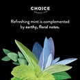 thumbnail image 6 of Choice Organics Mint Sage Tea, Caffeine Free Herbal Tea Bags, 16 Count, 6 of 9