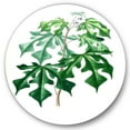 thumbnail image 2 of Designart - Vintage Green Leaves Plants II - Traditional Metal Circle Wall Art, 2 of 5