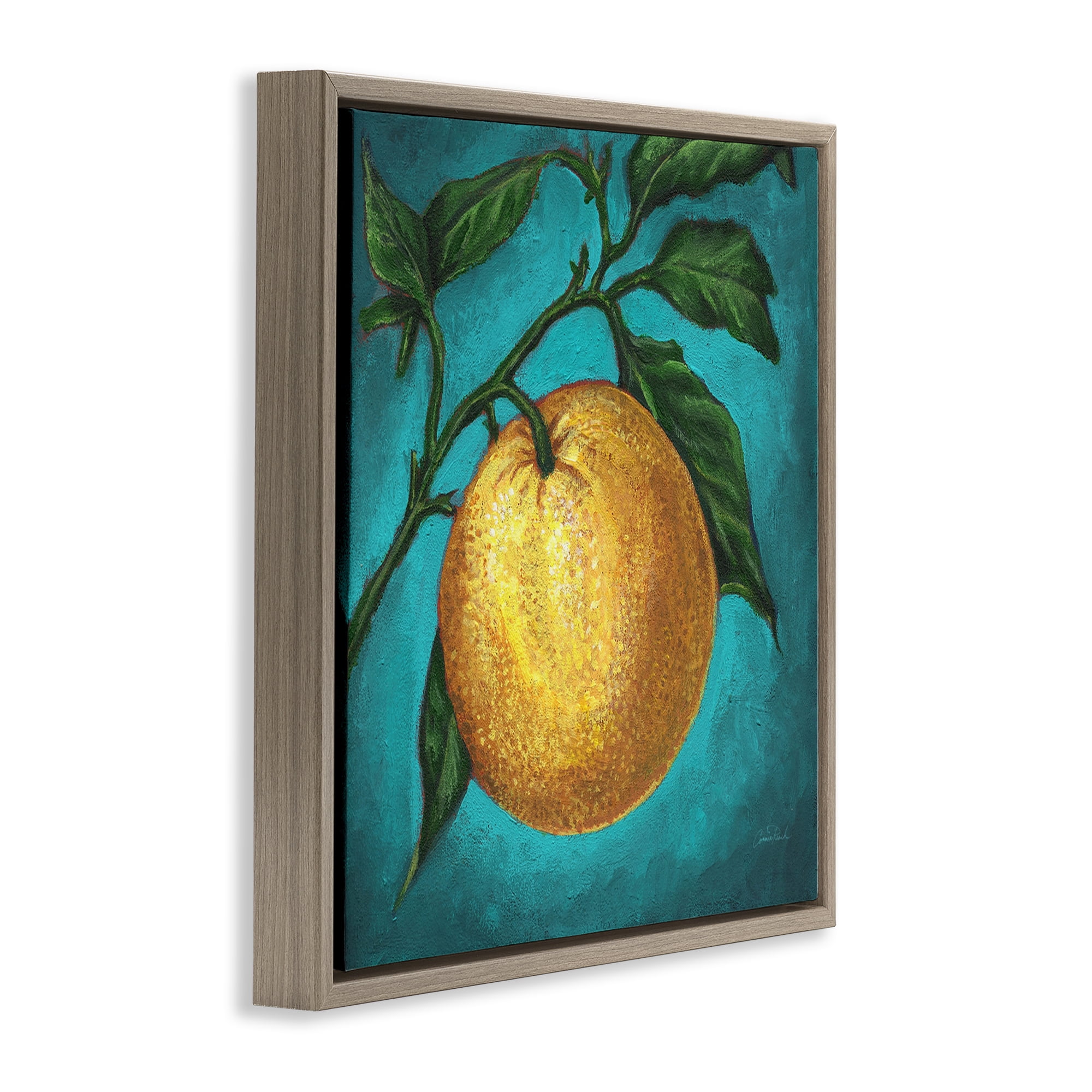 Stupell Industries Citrus Fruit on Branch Food & Beverage Painting Brown Floater Framed Canvas Art Print Wall Art, 18 x 18