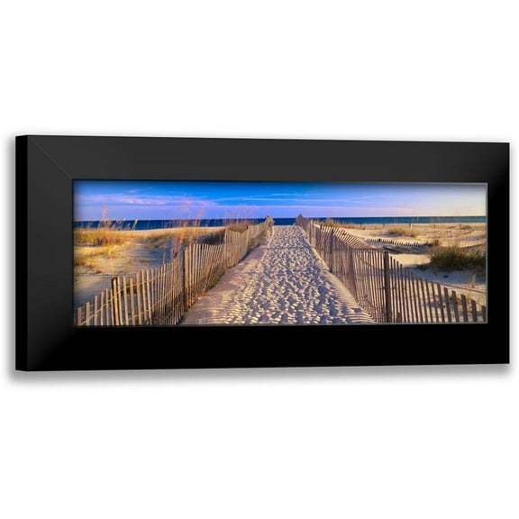 Sohm , Joseph 14x7 Black Modern Framed Museum Art Print Titled - Pathway to the Beach, Florida, USA