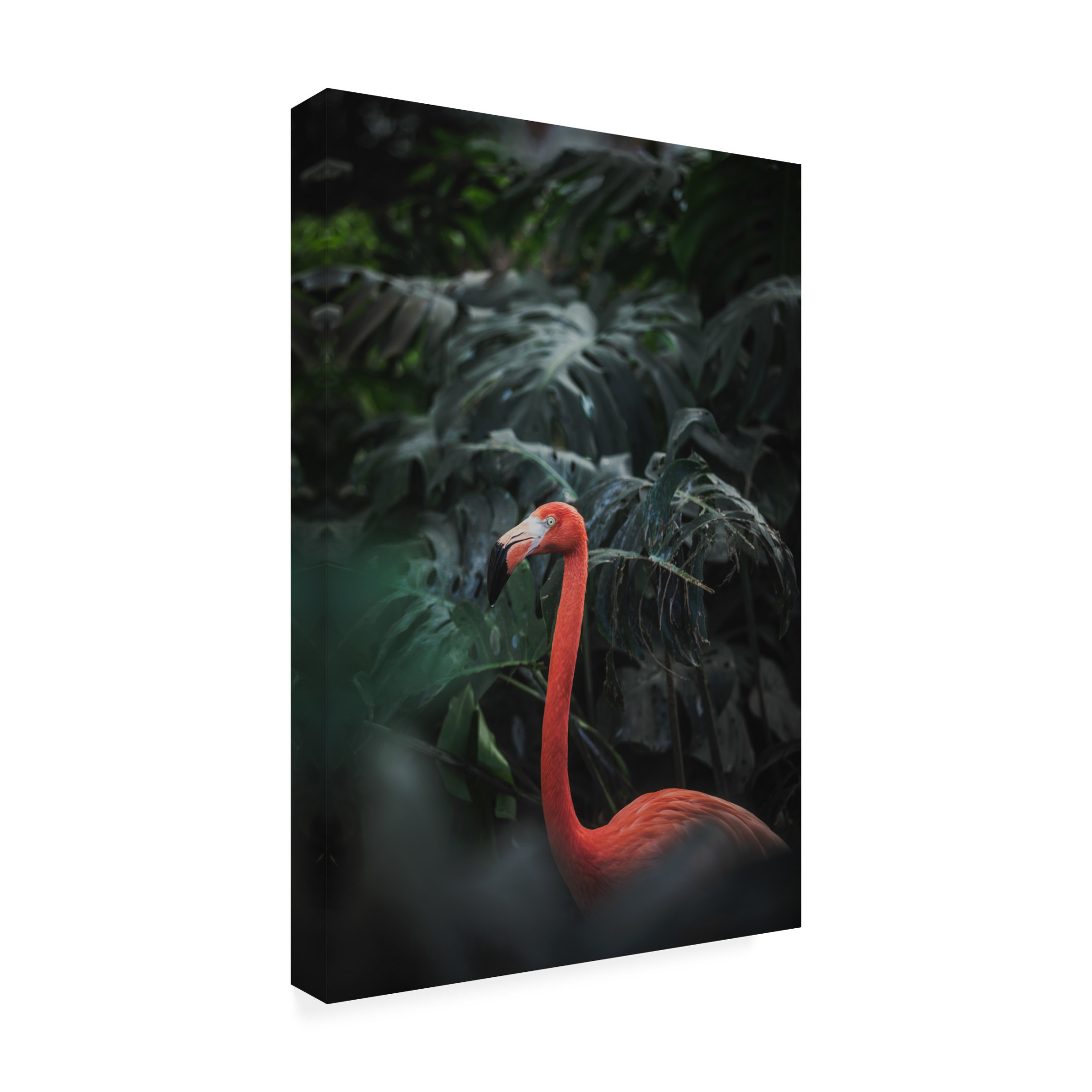 Trademark Fine Art Dayvee Flamingo Canvas Wall Art