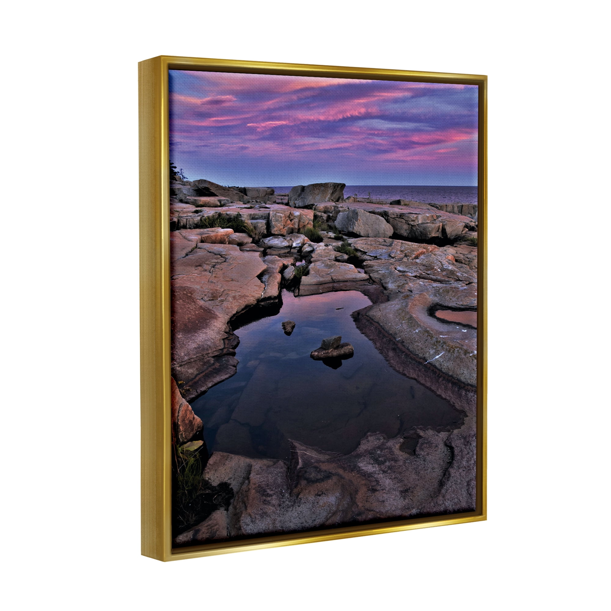 Stupell Industries Tide Pool Landscape Nature Photography Gold Floater Framed Art Print Wall Art, 17 x 21