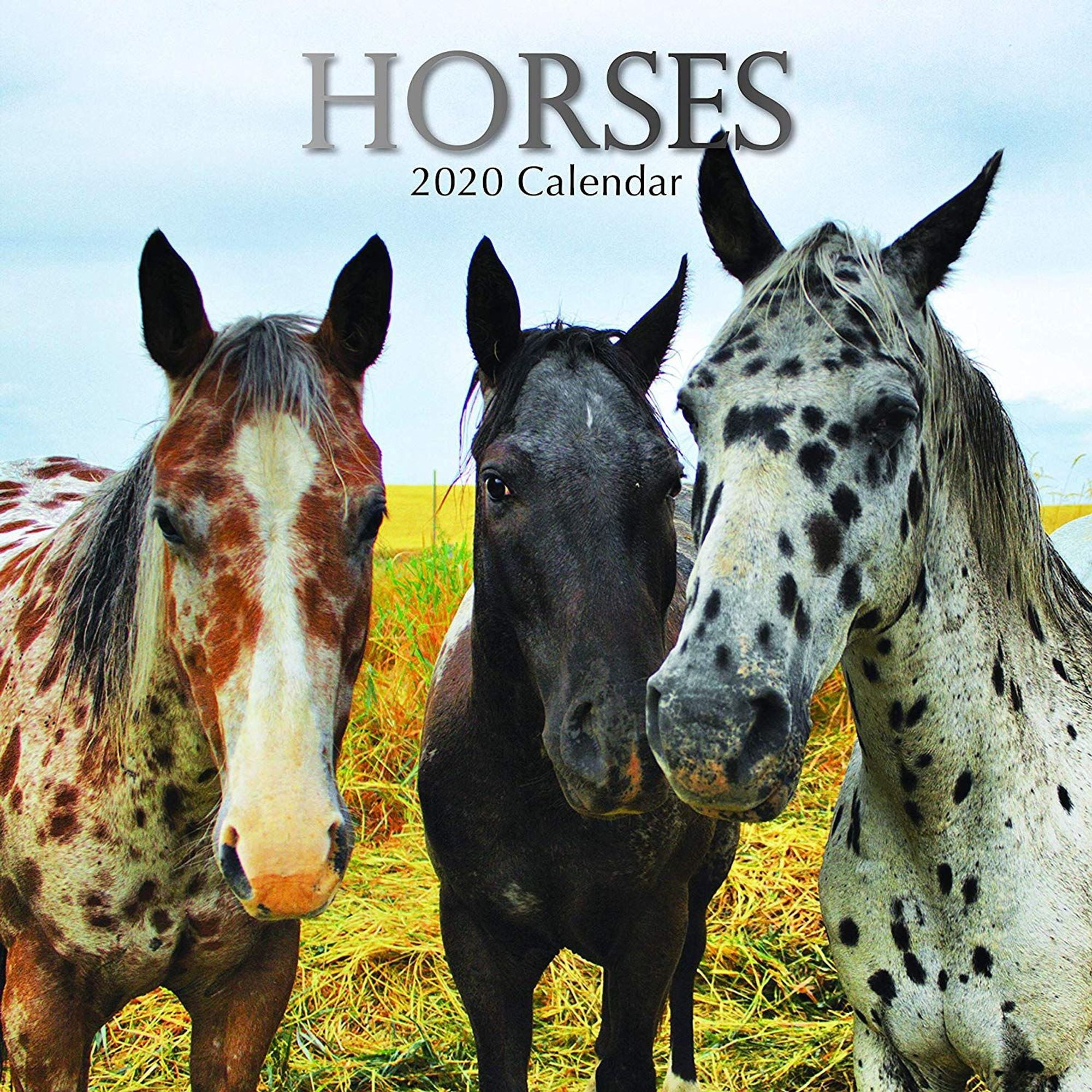 2020 Wall Calendar - Horse Calendar, 12 x 12 inch Monthly ...