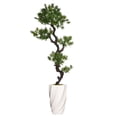 thumbnail image 1 of Vintage Home Artificial Faux Real Touch 6.58 Feet Tall Yacca Tree With Fiberstone Planter, 1 of 1