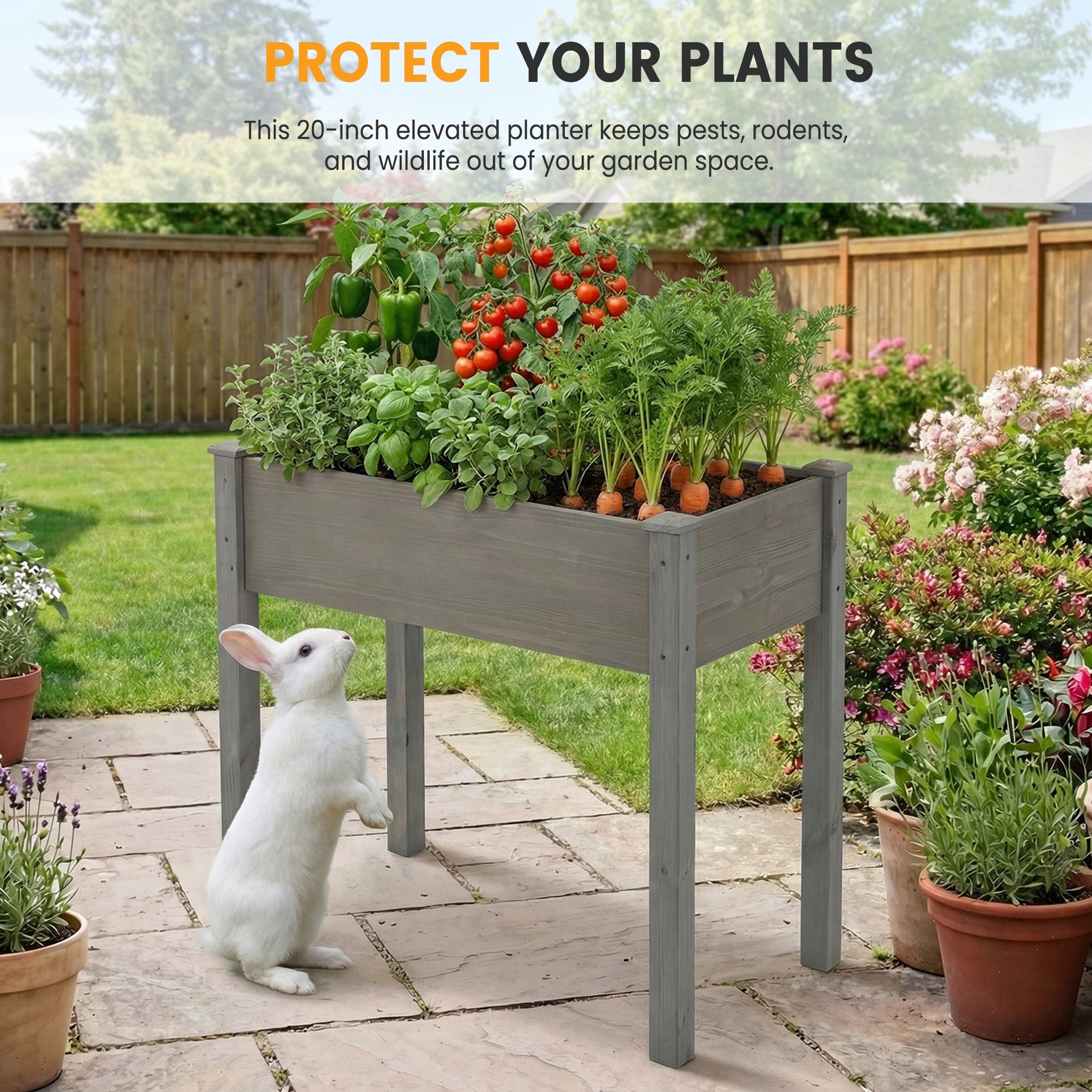 EDX Wooden Raised Garden Bed, Outdoor Planter Box Kit for Vegetables, Flowers and Herbs, Gray