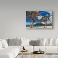 thumbnail image 3 of Trademark Fine Art 'Palm Trees Landscape' Canvas Art by Jason Matias, 3 of 3
