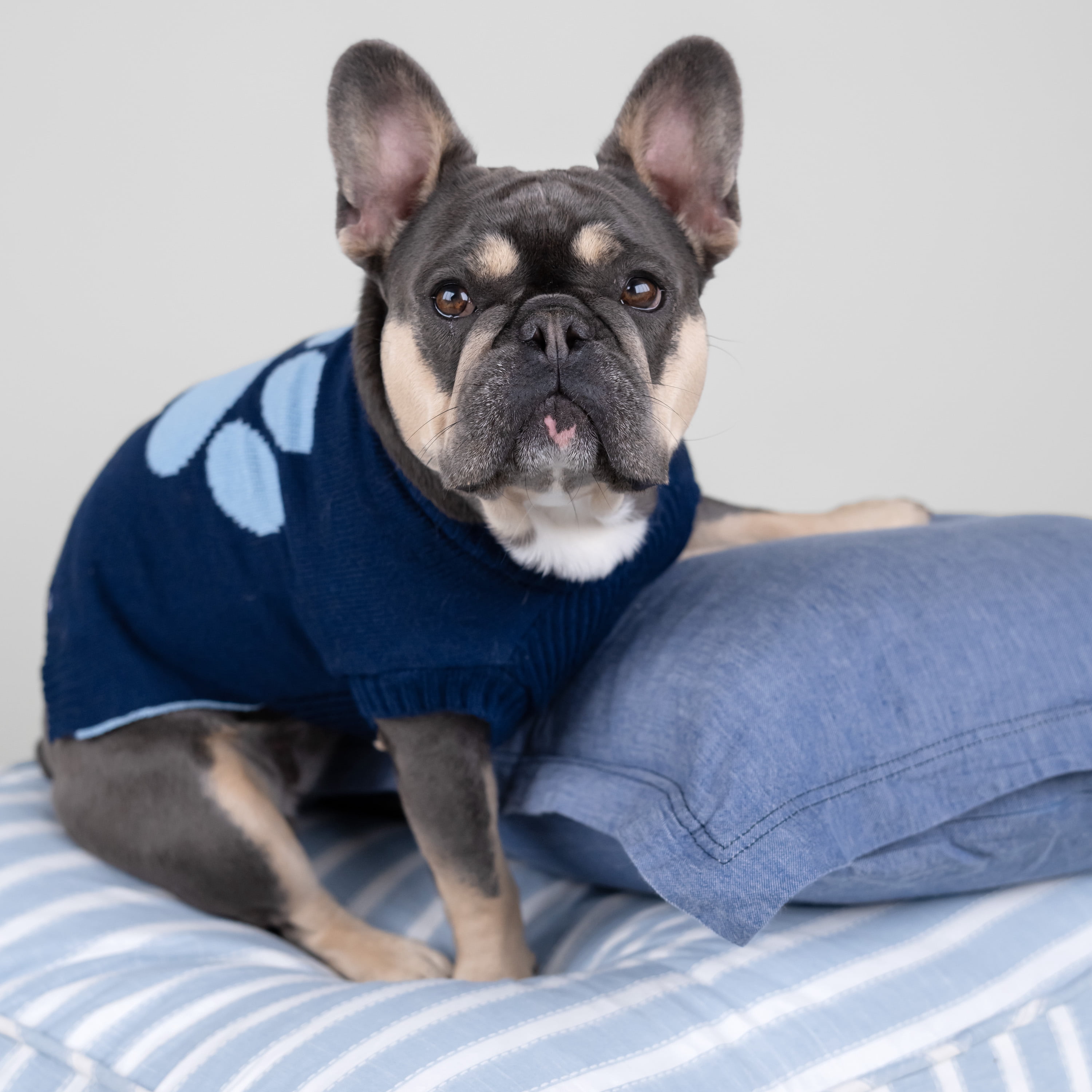 gap cat sweater