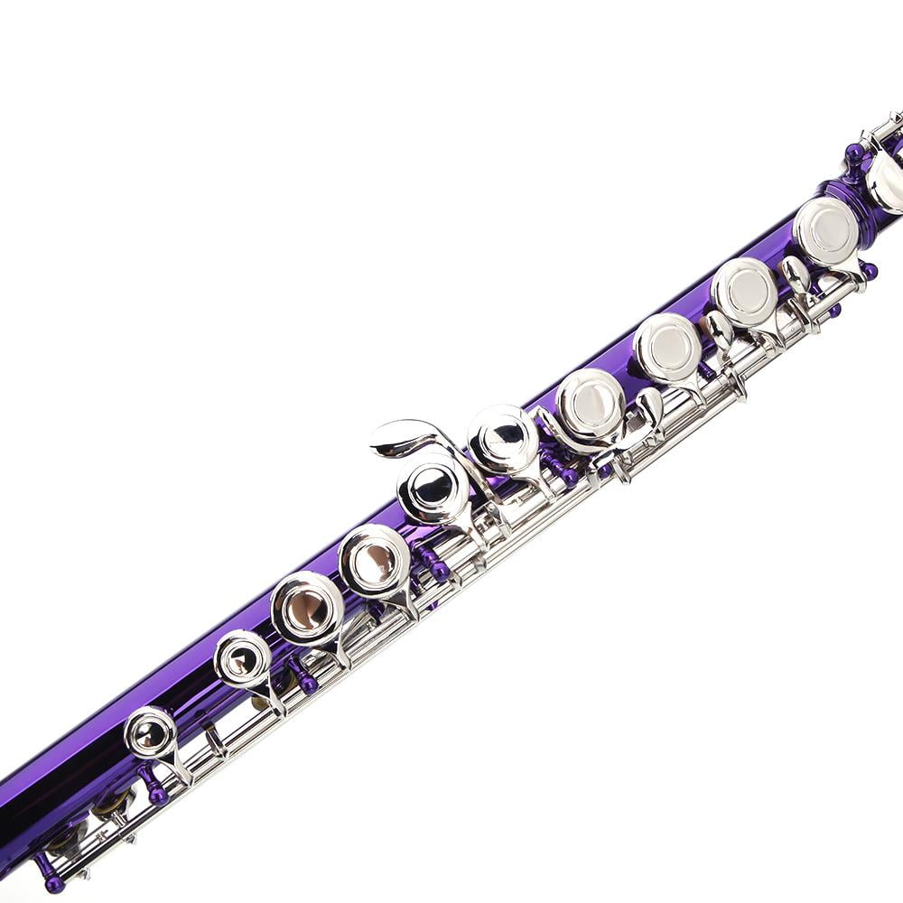 Ktaxon 16 Hole C Flute for Student Beginner School Band with Case, Purple