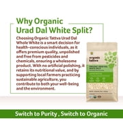 Organic Tattva White Urad Dal Split 4LB, Dry White Lentils, Vegan, Kosher, No Additives, USDA Certified