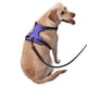 thumbnail image 2 of Fotbe Purple Glitter Arnés para Perro con Estampado –Chaleco Ajustable Acolchado con Asa de Control para Perros Grandes-X-Large, 2 of 6