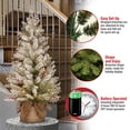 thumbnail image 4 of Árbol de Navidad National Tree Company Dunhill Fir 90 cm, 4 of 5