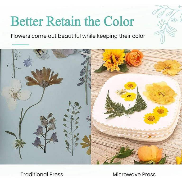 Great Choice Products Quickly Microwave Flower Press Kit, 4 Layers 7.5 Flower  Pressing Kit For Adults