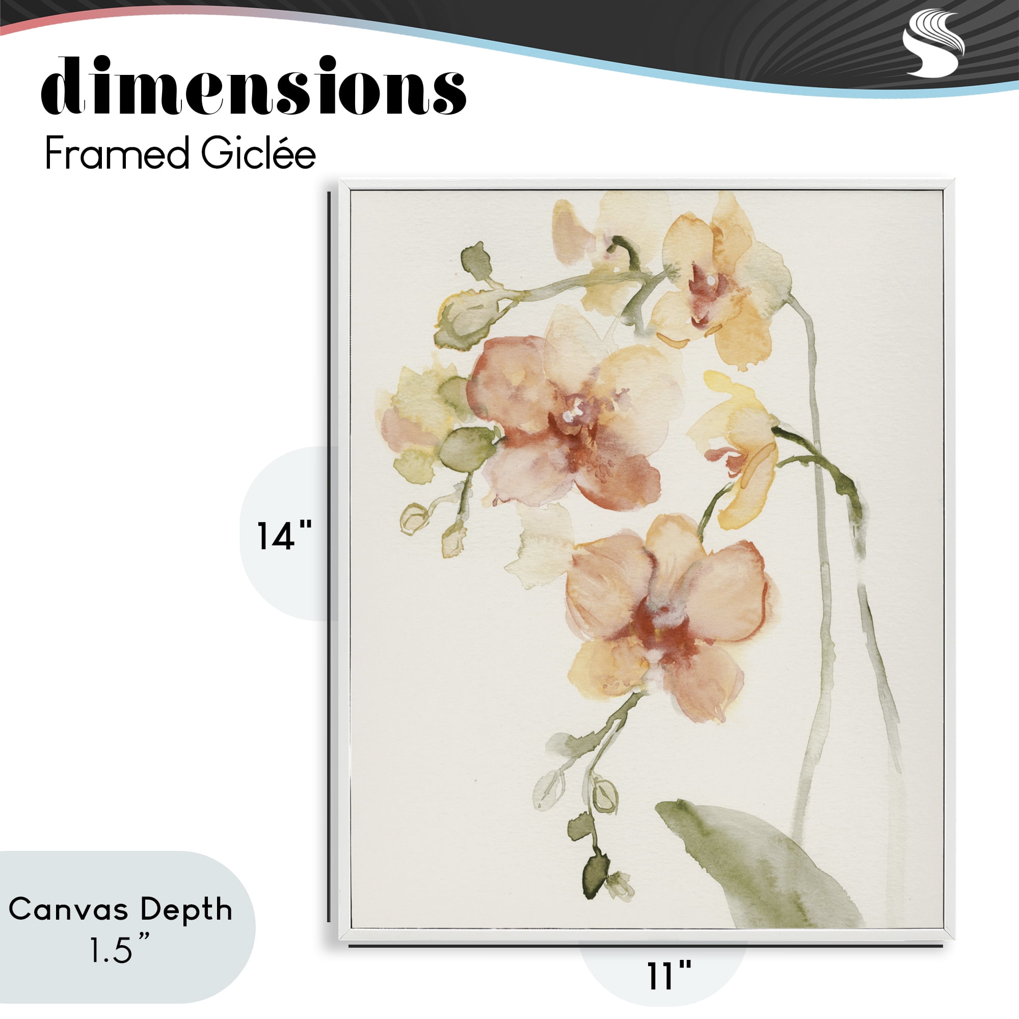 Stupell Industries Peach Orchid in Bloom White Framed Giclee Art, design by Victoria Barnes