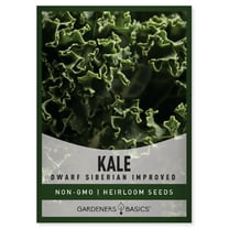 Dwarf Siberian Improved Kale Seeds