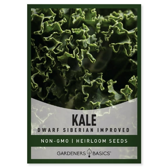 Dwarf Siberian Improved Kale Seeds