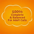 thumbnail image 6 of Friskies Dry Cat Food, Tenders and Crunchy Combo, Flavors of Chicken, Beef, Carrots and Green Beans, 3.15 Lb Bag (Pack of 12), 6 of 7