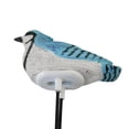thumbnail image 4 of Transemion Résine Oiseaux Sol Humidimètre Testeur Instrument Arrosage Rappel Bleu, 4 of 6