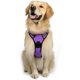 thumbnail image 1 of Laklulu Arnés para Perros sin tirones Clip Frontal Reflectante de Alta Resistencia Mango de fácil Control para Caminar con Perros pequeños, 1 of 5