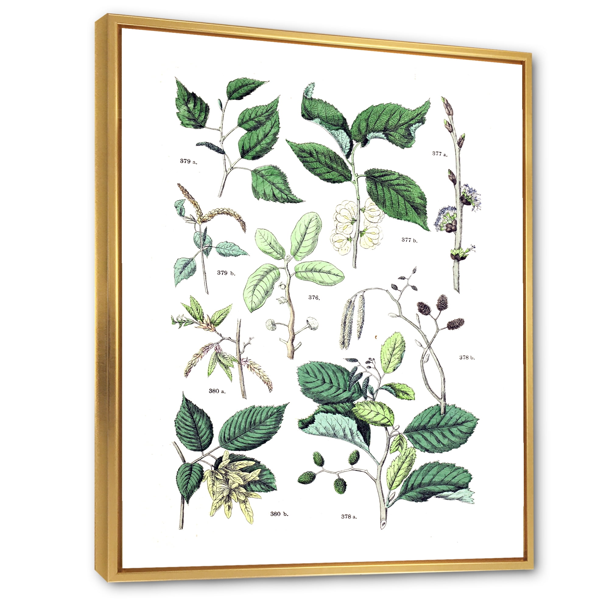 Ancient Botanicals VIII 30 in x 40 in Framed Painting Canvas Art Print, by Designart