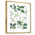 thumbnail image 3 of Ancient Botanicals VIII 16 in x 32 in Framed Painting Canvas Art Print, by Designart, 3 of 5