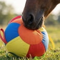 thumbnail image 3 of Inflatable Horse Toy Ball, Large Polyester Grazing Ball for Exercise & Play, Tough Lightweight Training/Aid for Paddock/Pasture/Yard Boredom Buster B, 3 of 5