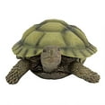 thumbnail image 2 of Design Toscano QM1887611 Lawn and Garden Resin Gilbert the Box Turtle Statue, 2 of 4