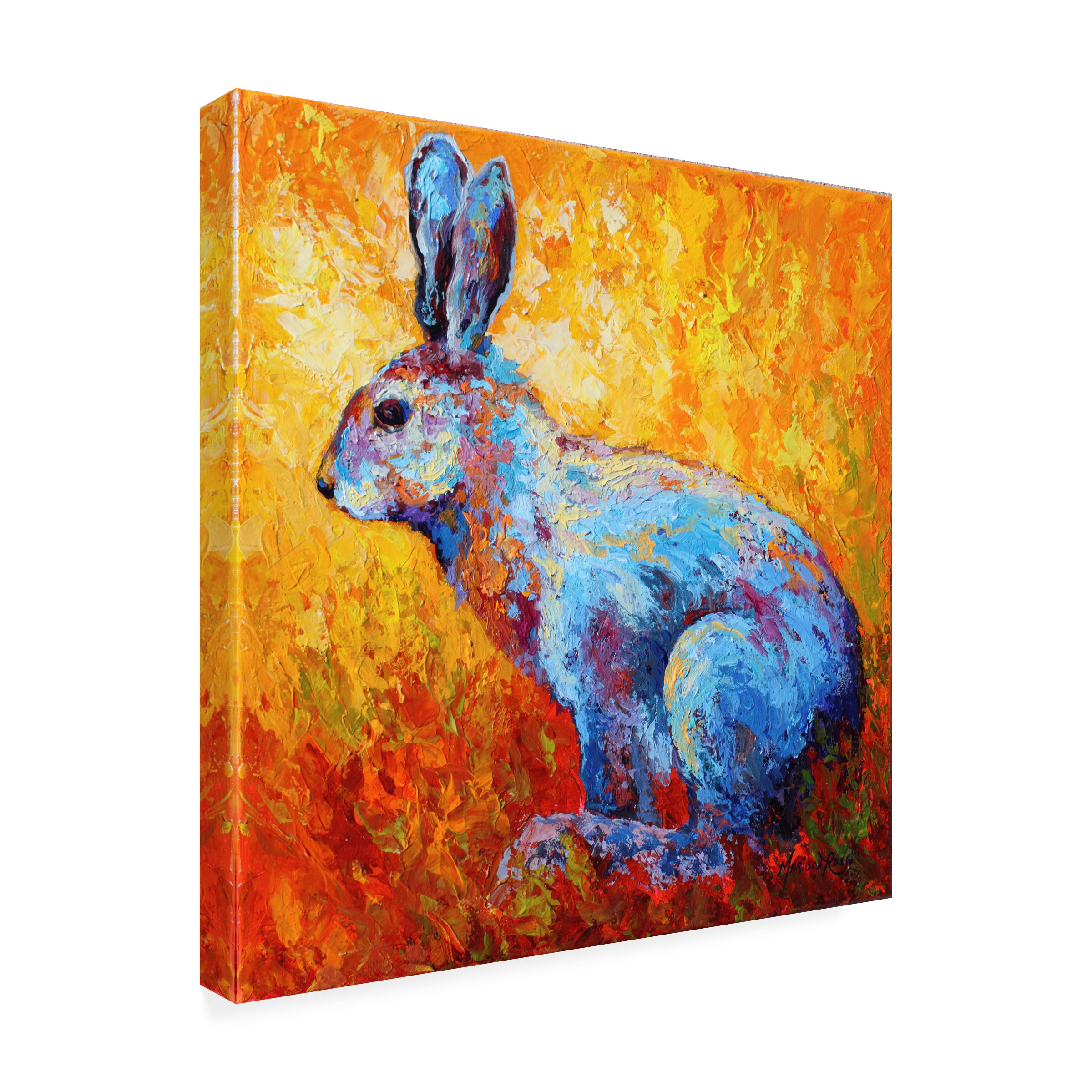 Marion Rose 'Bunnie (krabbit)' Canvas Art
