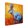 thumbnail image 4 of Marion Rose 'Bunnie (krabbit)' Canvas Art, 4 of 4