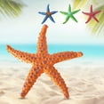 thumbnail image 3 of Juguetes De Buceo Con Estrellas De Mar. Juegos De Piscina Con Estrellas De Mar. Juego De Estrellas De Mar De Colores Con Bolsa De Malla Dorada. Juego De Juguetes De Buceo Para El Verano. Juego De Ju, 3 of 4