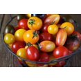 thumbnail image 4 of GSDWIUEW 50+ Rainbow Blend CherryTomato Seeds-All Seeds, 4 of 6