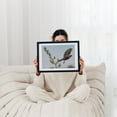thumbnail image 2 of Cowbird Taking Flight - York Pennsylvania Photography Bird Wildlife Nature Floral Animal Botanical Scenic Black Framed Wall Art Print 18 x 24 inches, 2 of 8